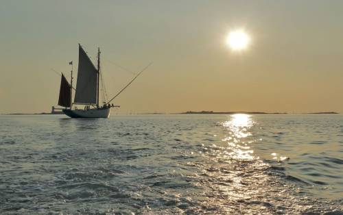 Thonier Biche en croisi�re � Douarnenez � Yann Le Lev�