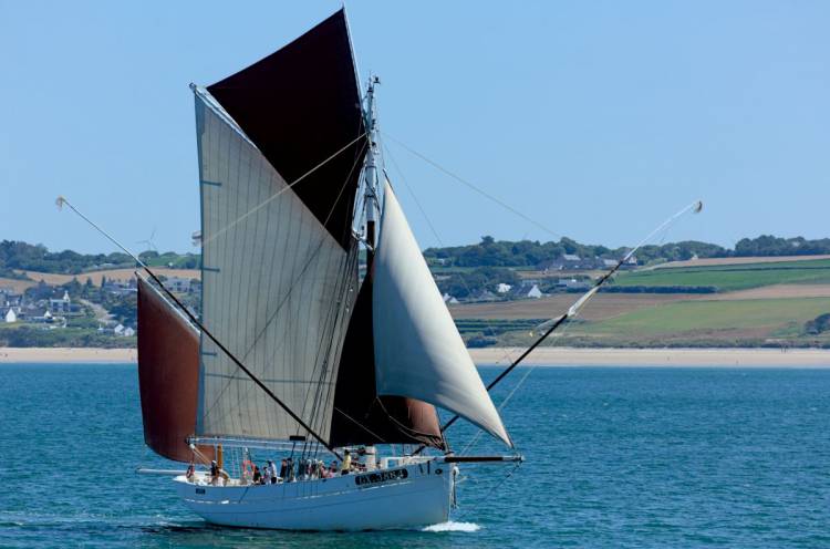 Biche � Douarnenez � Serge Gu�rin