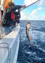 Pche au thon sur le Biche  Pierre Benoit