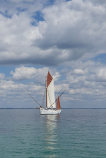 Biche au mouillage �Yannick Jolivet