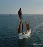 Biche en mer � Martin Coudriet