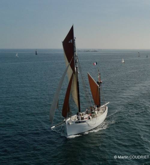 Biche en mer � Martin Coudriet